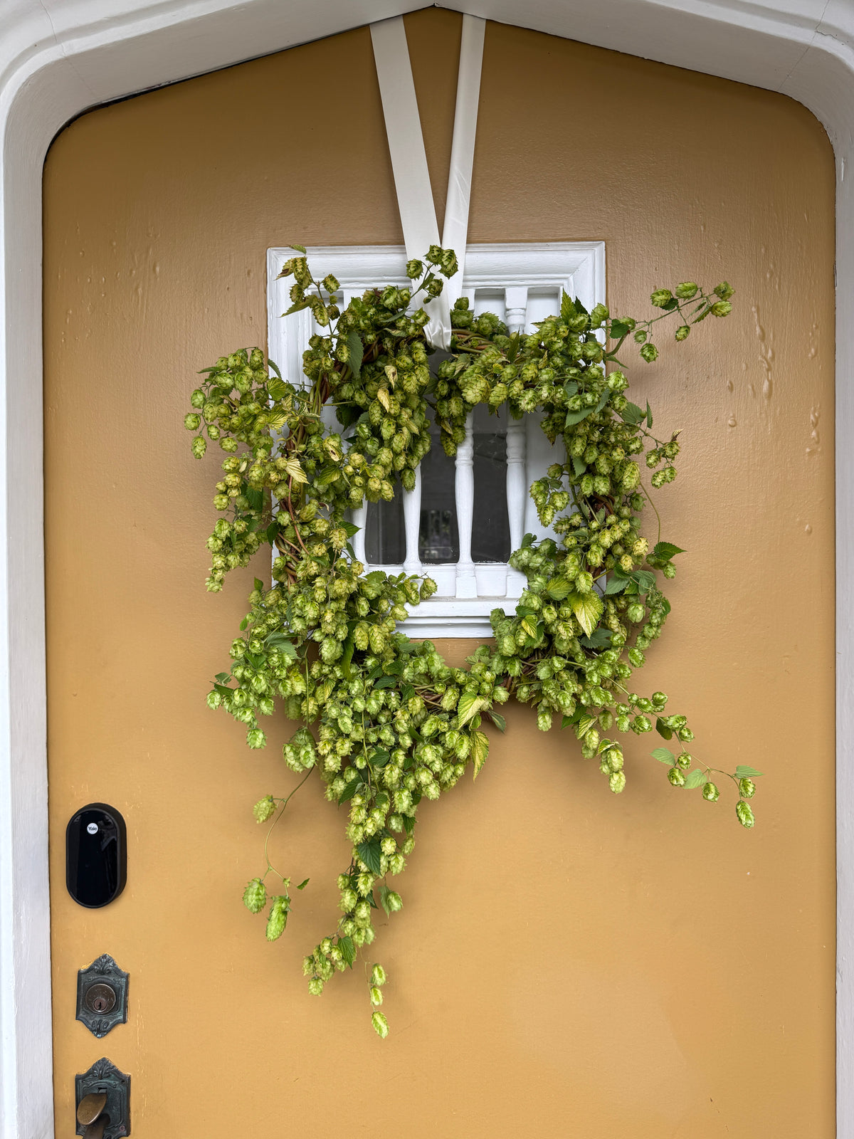 Hops Wreath