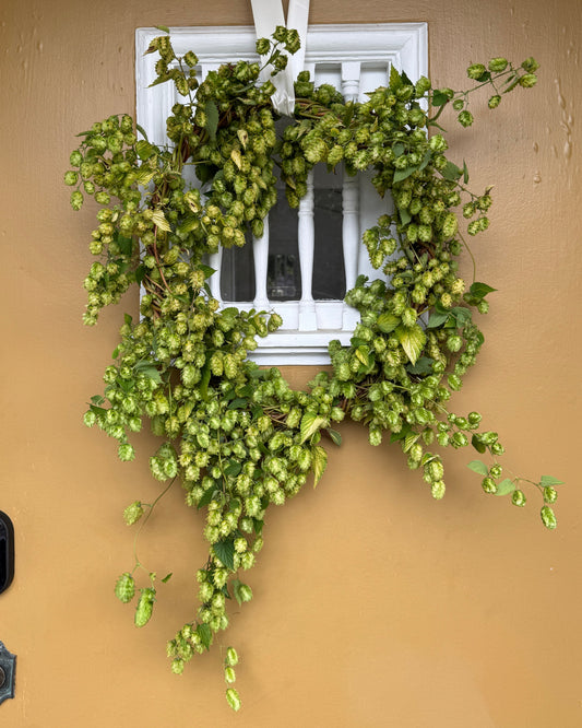 Hops Wreath